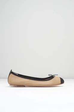 Bloch Ballerinas^Damen Rigel Ballerinas